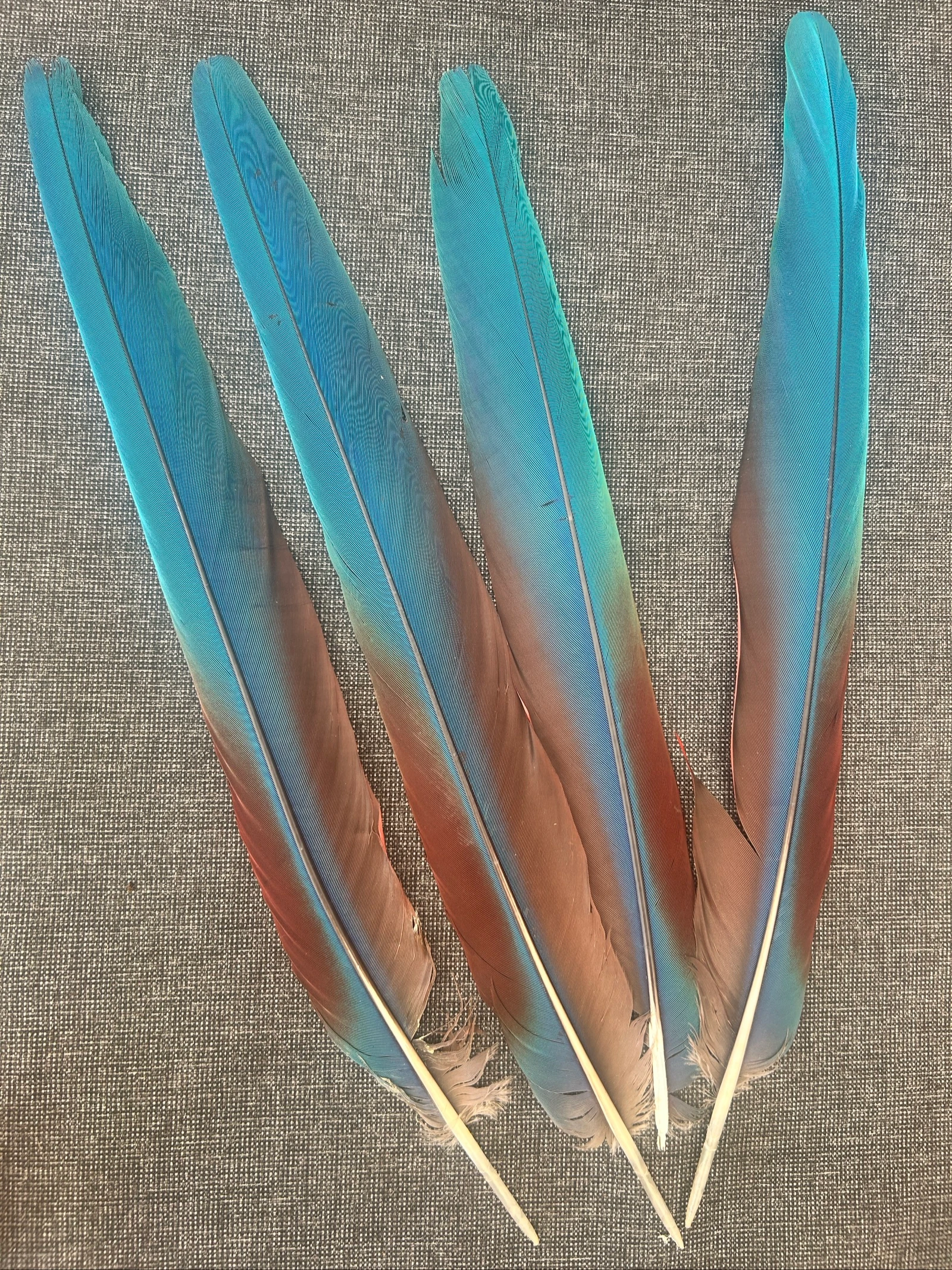 Plumas naturales de la cabecera – photo 3